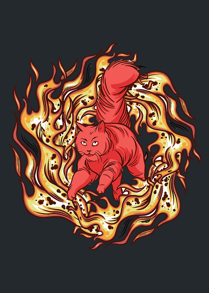 MAINE COON ON FIRE