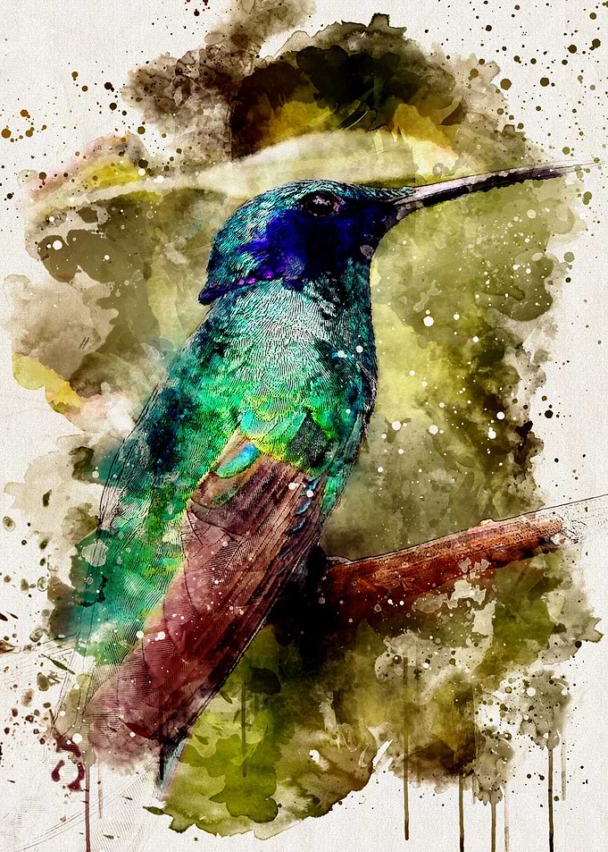 Watercolour Hummingbird