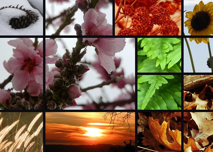 Changing Seasons