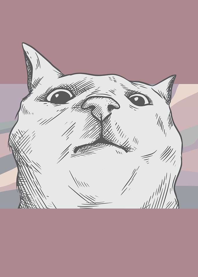 CAT FACE