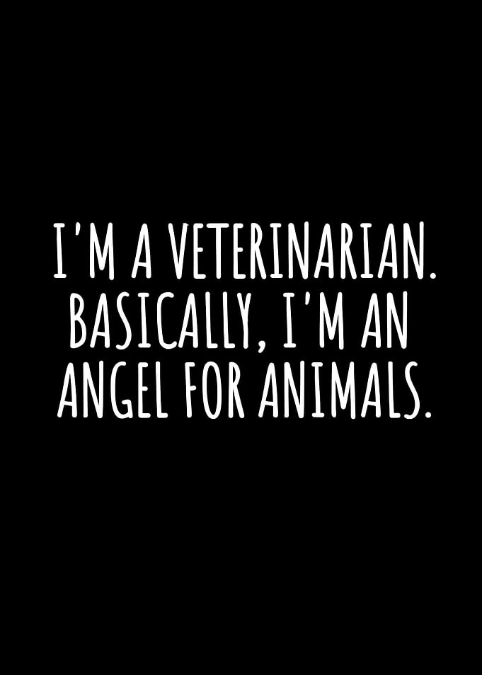 Im a veterinarian