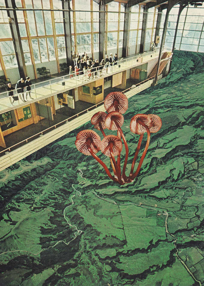 Mushroom Greenhouse