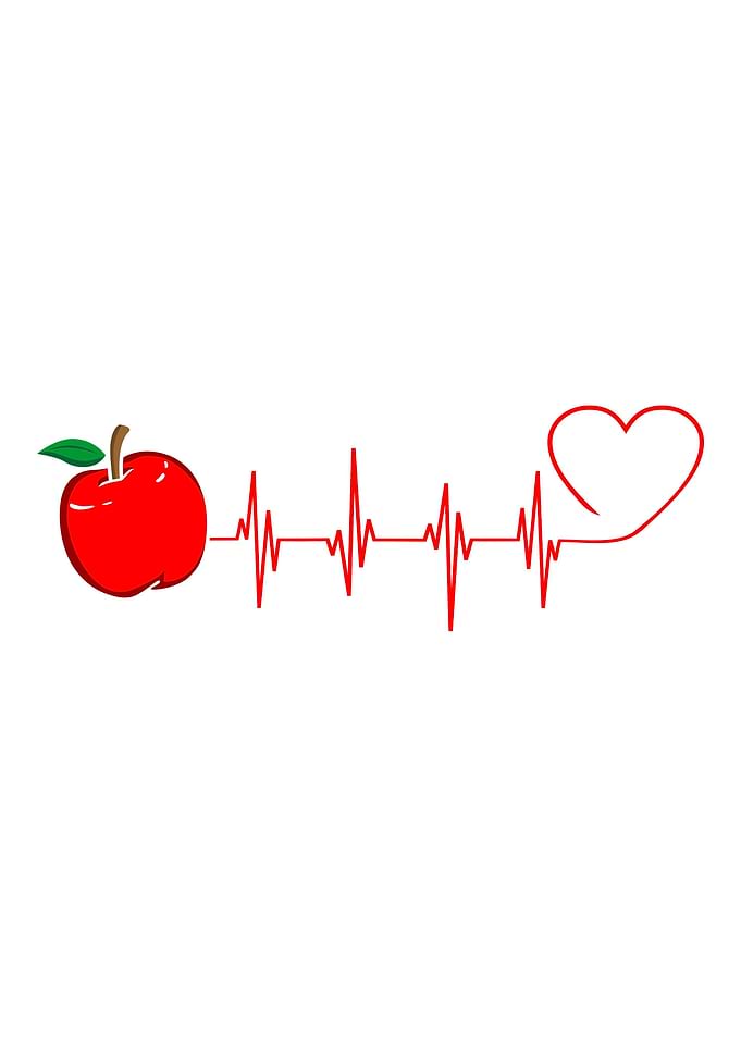 Apple Fruit Gift Idea