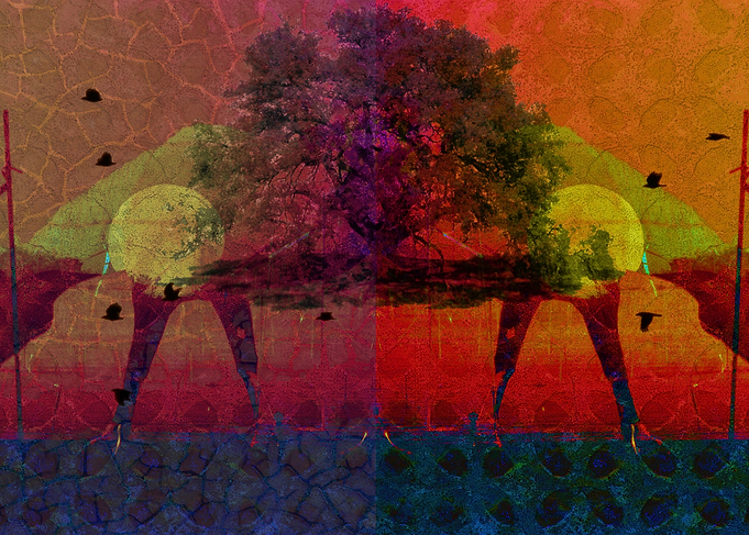 Worlds Apart