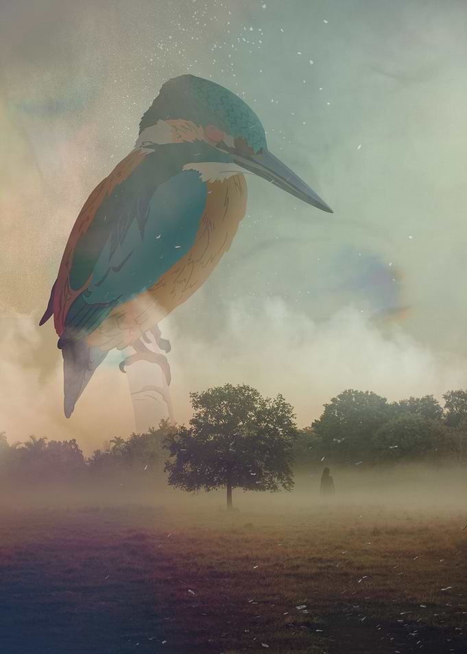 The Desert Bird