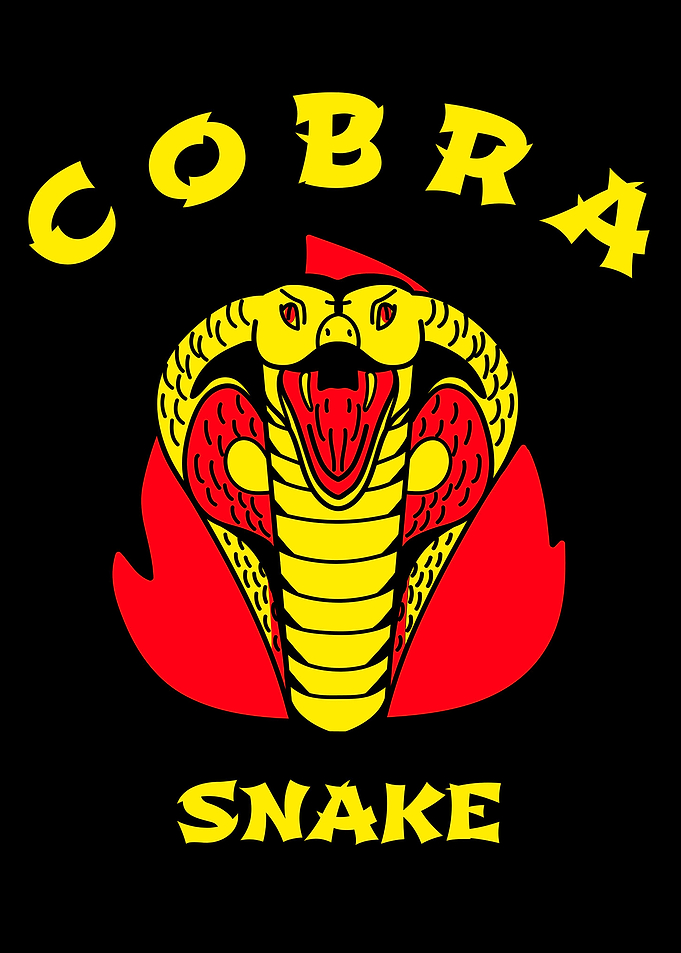 Colorful Cobra Snake
