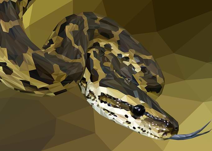 Python in Low Poly