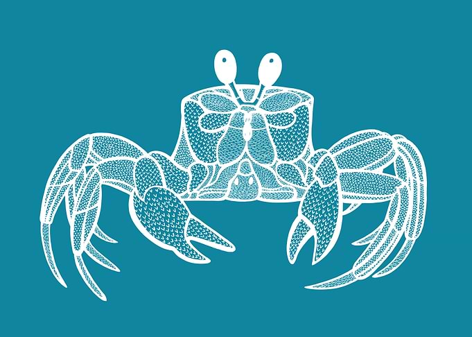 Ghost Crab Animal Ink Art