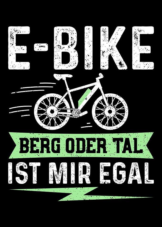 EBike Berg Oder Tal Ist M