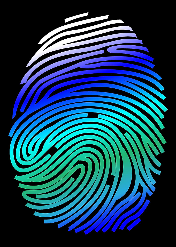 Fingerprint Unique Person