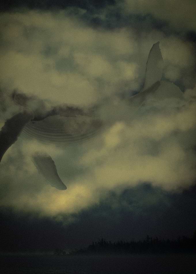 The Sighting