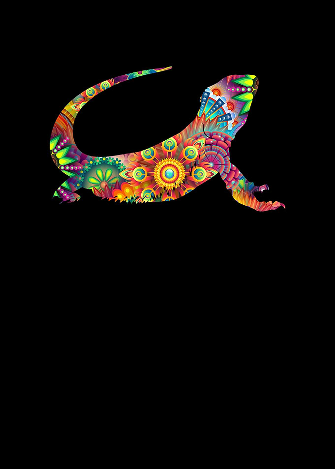 Bearded Dragon Silhouette