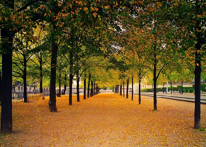 City Park