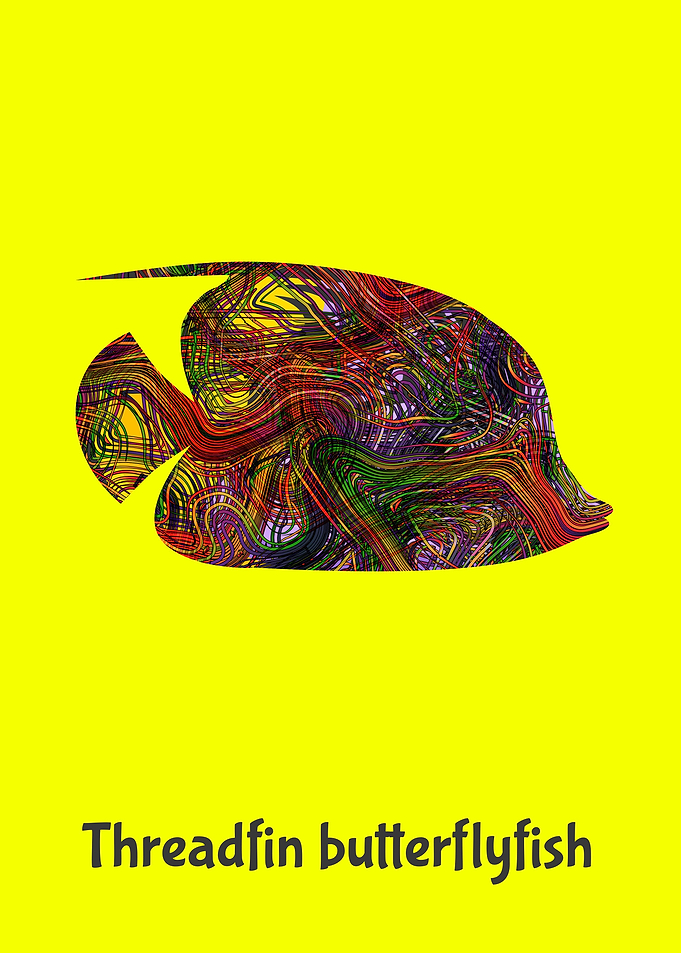 Angelfish