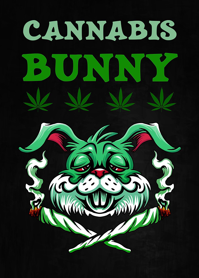 Cannabis Weed Marihuana