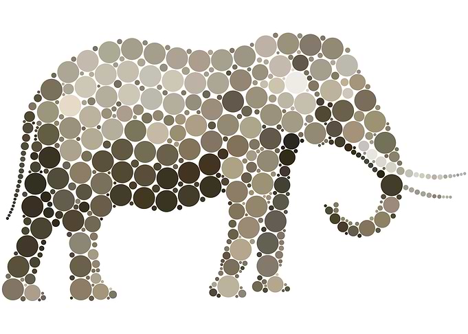 Black Pride Africa Elephan