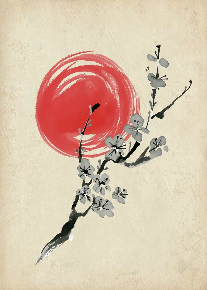 Cherry Blossoms