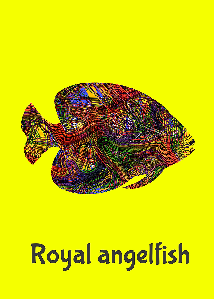 Angelfish