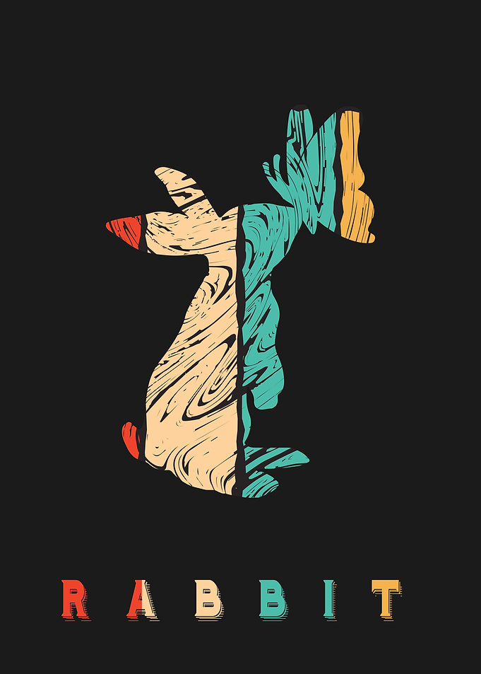 Rabbit Bunny