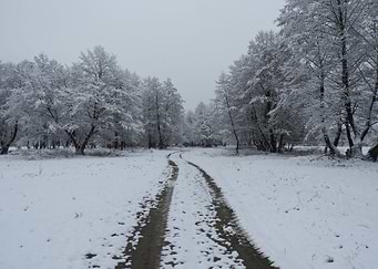 Winter scenery after snow
