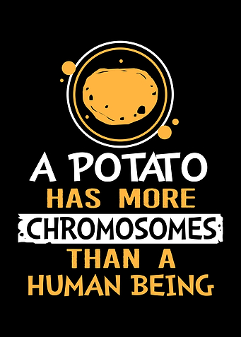 Down Syndrome Potato