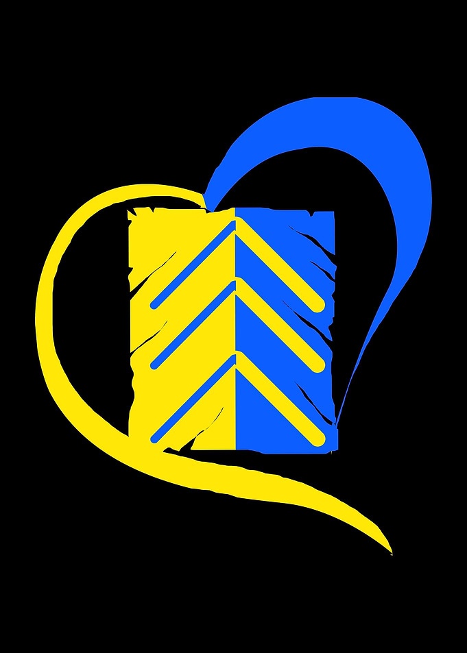 Down Syndrome Heart