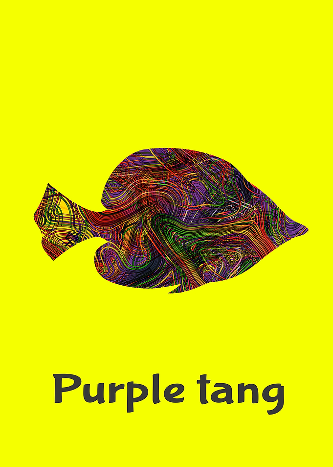 Angelfish