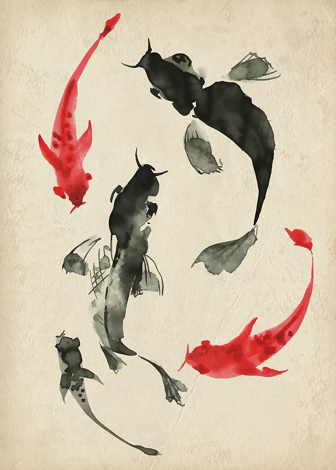 Koi
