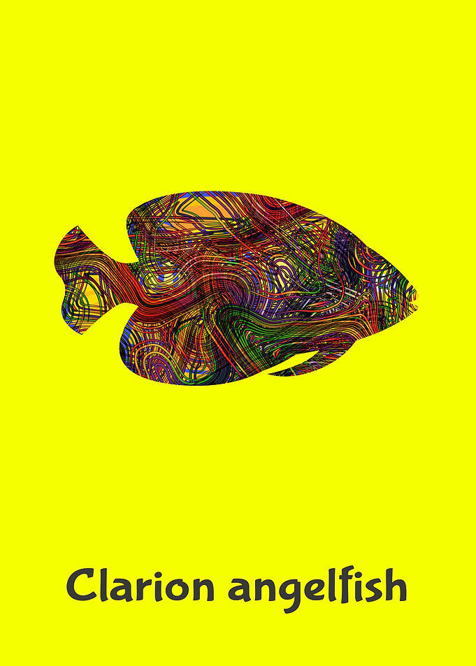 Angelfish
