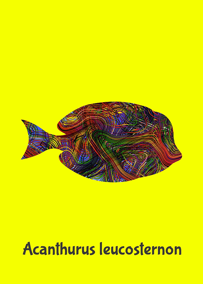 Angelfish