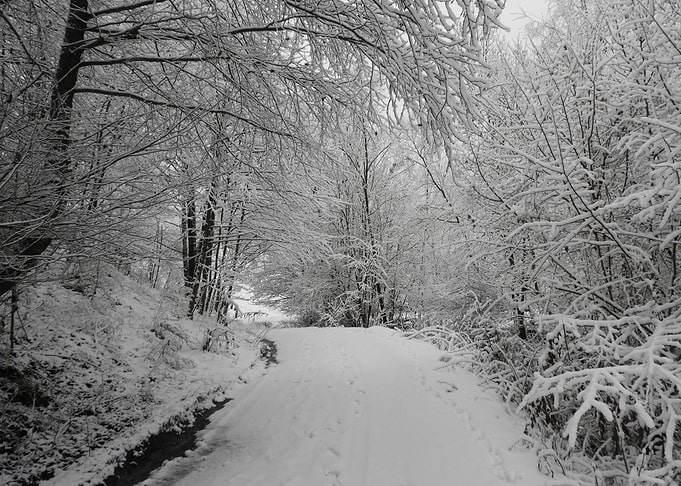 Winter scenery after snow