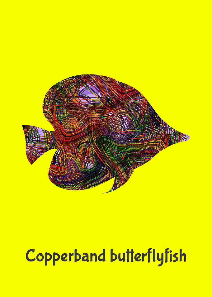 Angelfish