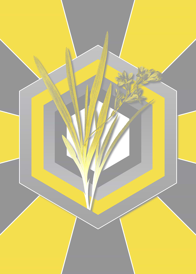 Geometric Yellow Florals