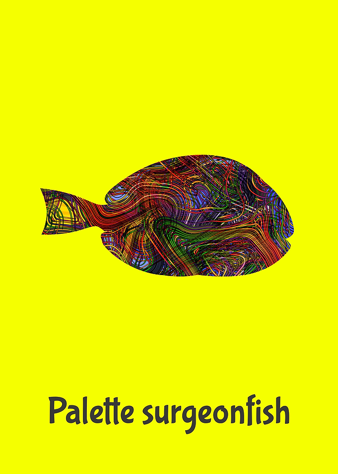 Angelfish
