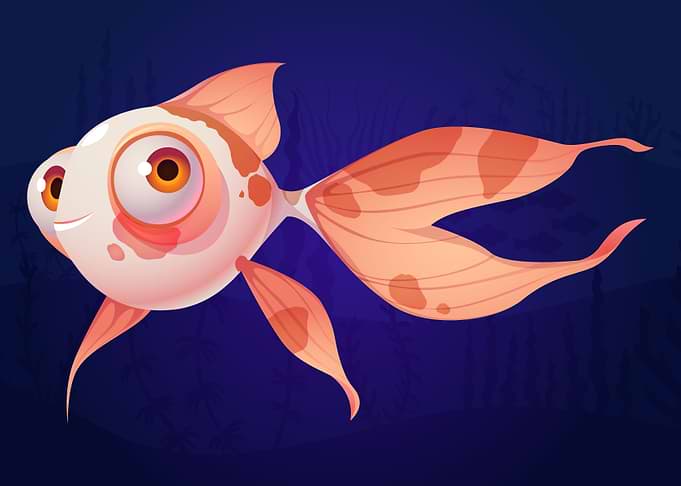 Small Fish
