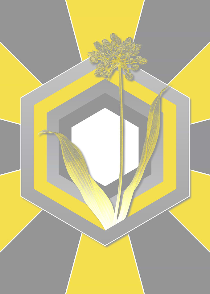 Geometric Yellow Florals