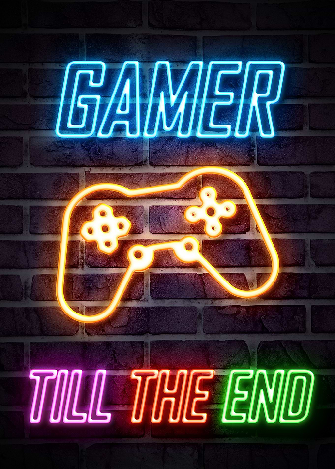 GAMER TILL THE END