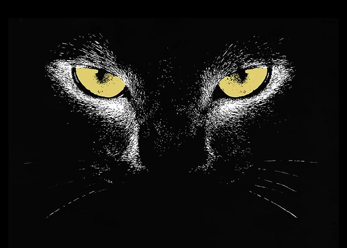 Black Cat People
