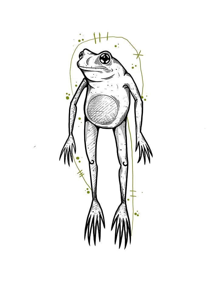 Frogg