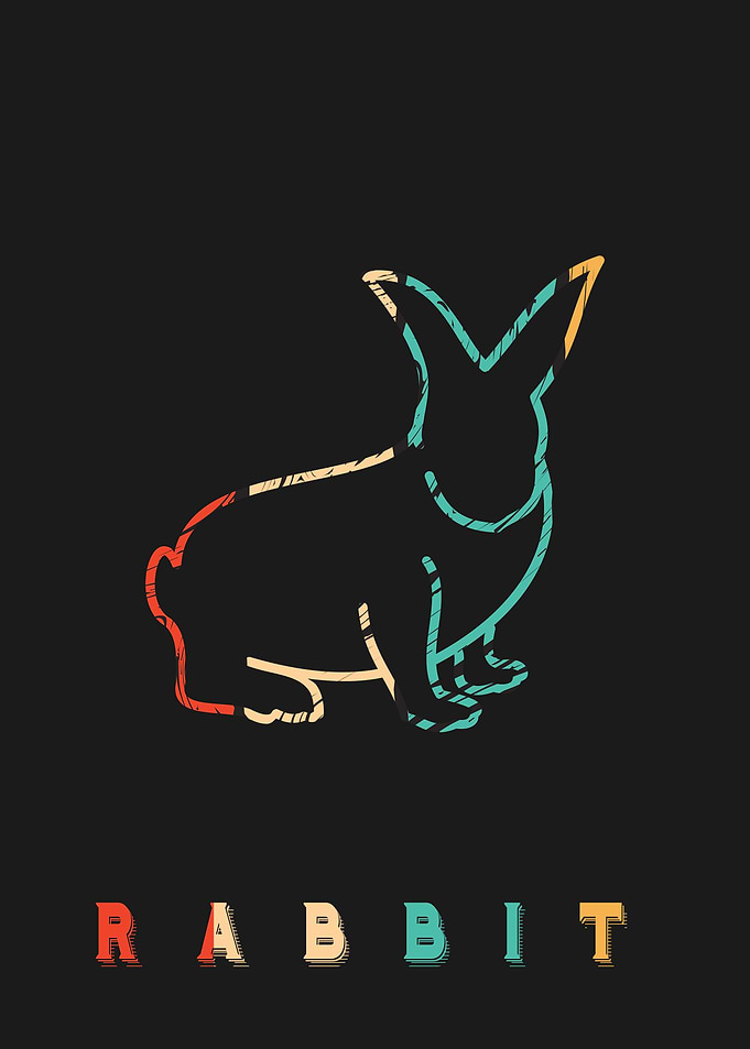 Rabbit Bunny