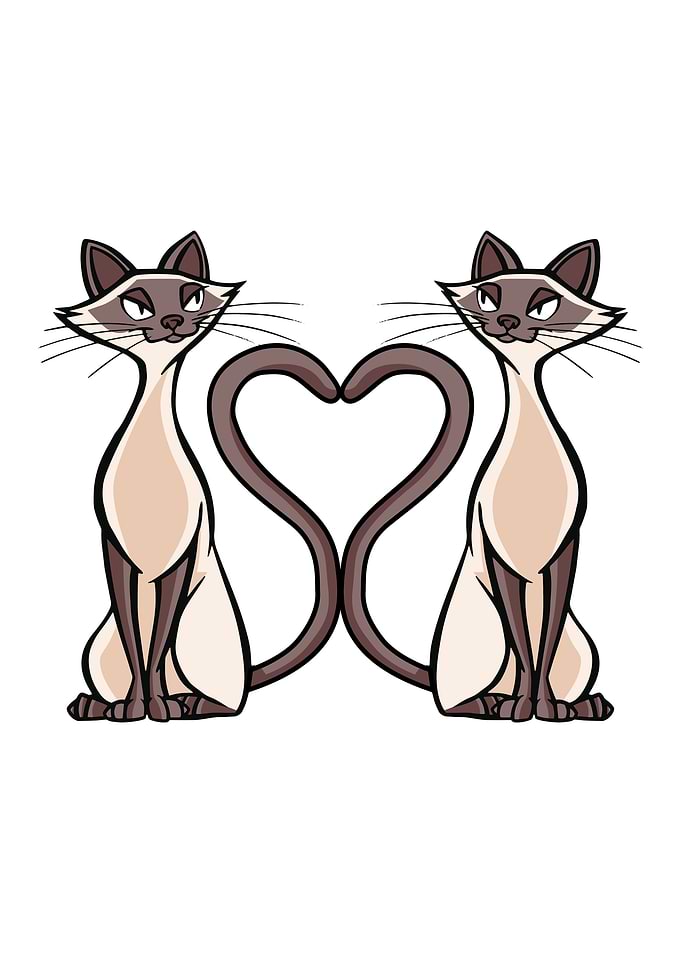 Siamese Cat Love
