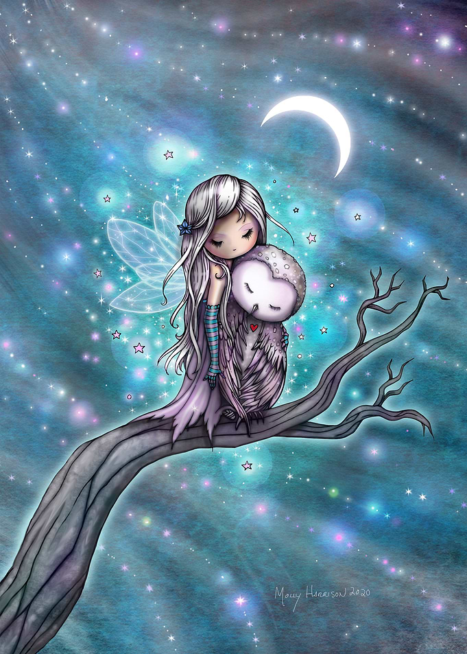A Winter Night