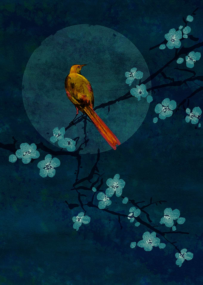 Cherry Blossom and bird
