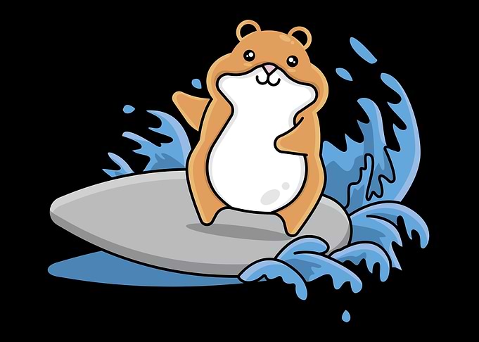 Hamster Surfing