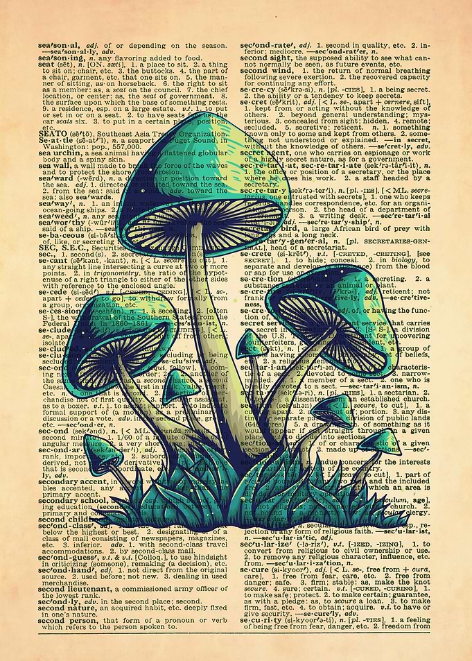Mushroom Dictionary Art