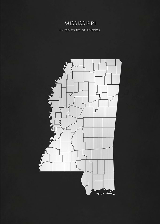 Silver Mississippi Map