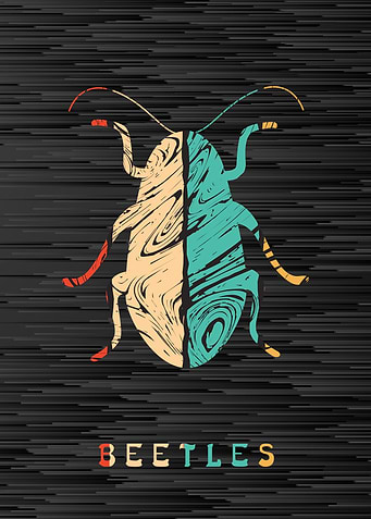 Beetles