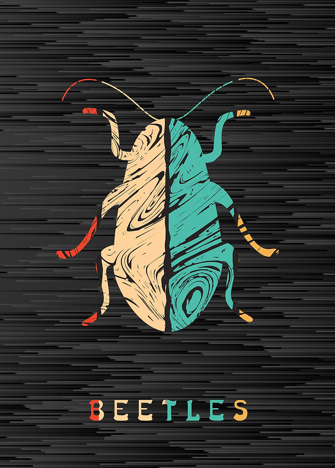 Beetles