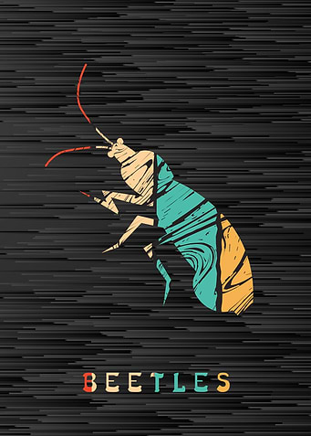 Beetles