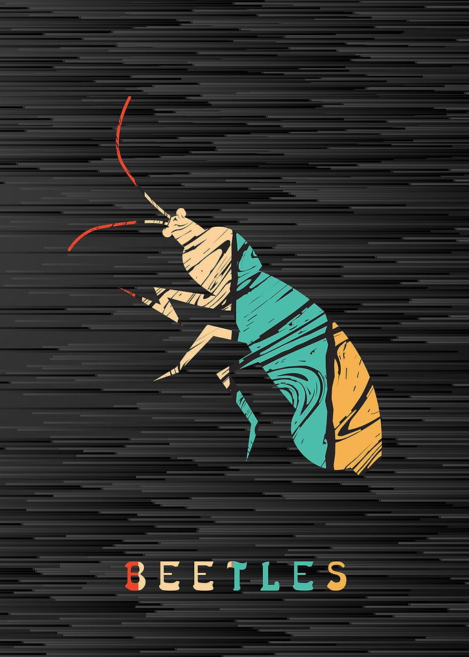 Beetles